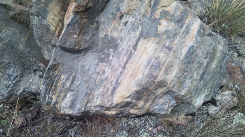 Гигантские зелёные валуны для ландшафтного дизайна весом более 5 тонн купить в Нижнем Новгороде