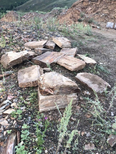 Плитняк кора дерева 50-100мм для пошаговых дорожек купить в Нижнем Новгороде